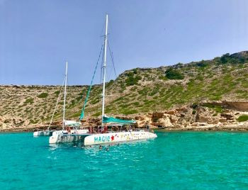 205923_350_MAL_Catamaran_Bahía de Palma.jpg